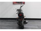 Thumbnail Photo 3 for 2024 Honda Navi