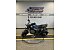 New 2024 Honda Navi