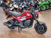 New 2024 Honda Navi