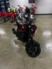 2024 Honda Navi