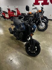 New 2024 Honda Navi