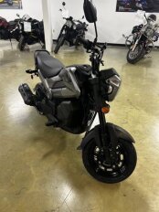 New 2024 Honda Navi