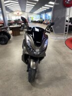 Thumbnail Photo 1 for New 2024 Honda PCX150