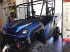 Thumbnail Photo 1 for New 2024 Honda Pioneer 1000