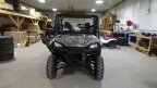Thumbnail Photo 1 for New 2024 Honda Pioneer 1000
