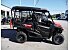New 2024 Honda Pioneer 1000 5