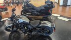 Thumbnail Photo 1 for New 2024 Honda Rebel 1100