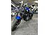 2024 Honda Rebel 1100 DCT