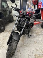 Thumbnail Photo 1 for New 2024 Honda Rebel 300