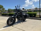 Thumbnail Photo 6 for 2024 Honda Rebel 300