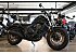 2024 Honda Rebel 500 ABS