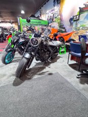 2024 Honda Rebel 500