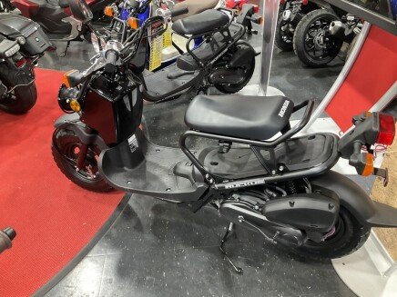 Photo 1 for New 2024 Honda Ruckus