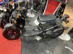Thumbnail Photo 1 for New 2024 Honda Ruckus