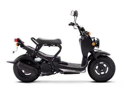 Photo 1 for 2024 Honda Ruckus