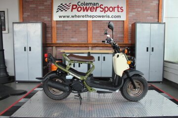 2024 Honda Ruckus