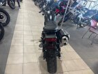 Thumbnail Photo 2 for 2024 Honda SCL500