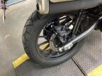 Thumbnail Photo 5 for 2024 Honda SCL500