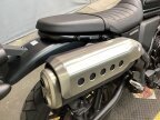 Thumbnail Photo 6 for 2024 Honda SCL500