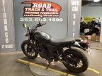Thumbnail Photo 3 for 2024 Honda SCL500