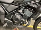 Thumbnail Photo 4 for 2024 Honda SCL500