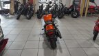 Thumbnail Photo 3 for New 2024 Honda Shadow Phantom