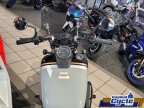 Thumbnail Photo 4 for 2024 Honda Shadow Phantom