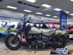 Thumbnail Photo 6 for 2024 Honda Shadow Phantom