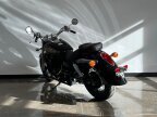 Thumbnail Photo 5 for New 2024 Honda Shadow Aero