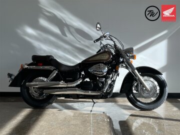 New 2024 Honda Shadow Aero
