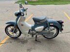 Thumbnail Photo 5 for New 2024 Honda Super Cub C125