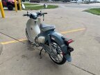 Thumbnail Photo 6 for New 2024 Honda Super Cub C125