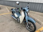 Thumbnail Photo 2 for New 2024 Honda Super Cub C125