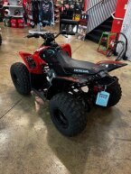 Thumbnail Photo 5 for New 2024 Honda TRX90X