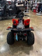 Thumbnail Photo 4 for New 2024 Honda TRX90X