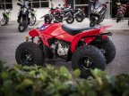Thumbnail Photo 6 for New 2024 Honda TRX90X