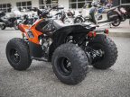Thumbnail Photo 6 for New 2024 Honda TRX90X