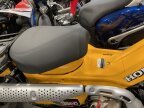 Thumbnail Photo 5 for New 2024 Honda Trail 125