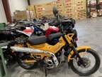 Thumbnail Photo 3 for New 2024 Honda Trail 125