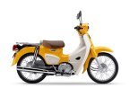 Thumbnail Photo 3 for New 2024 Honda Trail 125