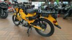 Thumbnail Photo 5 for New 2024 Honda Trail 125