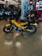 Thumbnail Photo 2 for New 2024 Honda Trail 125