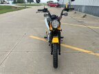 Thumbnail Photo 3 for New 2024 Honda Trail 125