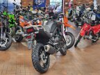 Thumbnail Photo 1 for New 2024 Honda Transalp