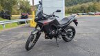 Thumbnail Photo 1 for New 2024 Honda Transalp