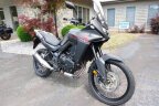 Thumbnail Photo 2 for 2024 Honda Transalp