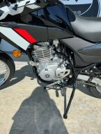 Thumbnail Photo 6 for New 2024 Honda XR150L