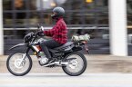 Thumbnail Photo 1 for New 2024 Honda XR150L