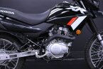 Thumbnail Photo 4 for 2024 Honda XR150L