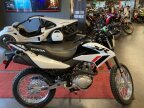 Thumbnail Photo 2 for New 2024 Honda XR150L